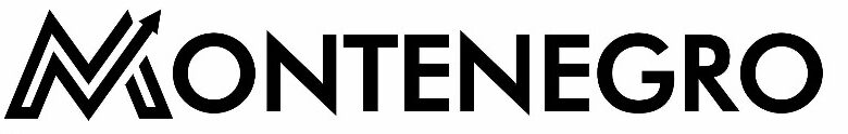Montenegro Soluções